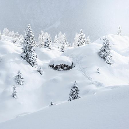 Ferienwohnung Kindl Manuela Neustift im Stubaital Εξωτερικό φωτογραφία