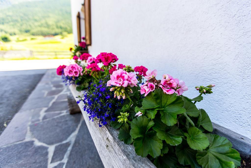 Ferienwohnung Kindl Manuela Neustift im Stubaital Εξωτερικό φωτογραφία